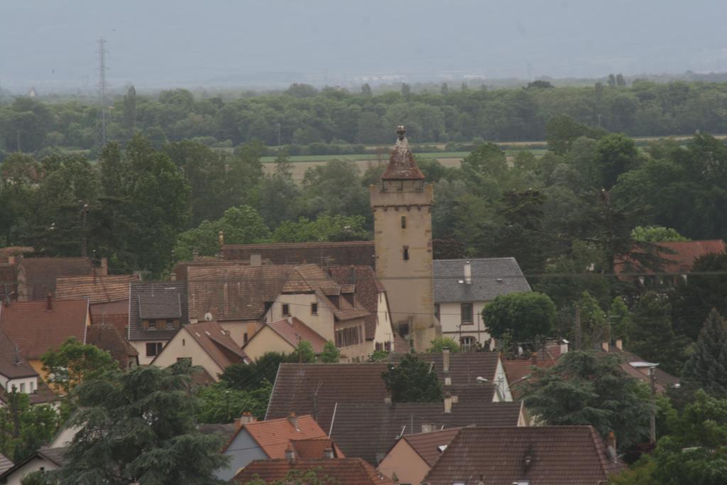 Gite Duplex Du Vignoble Alsace Rouffach Eksteriør bilde