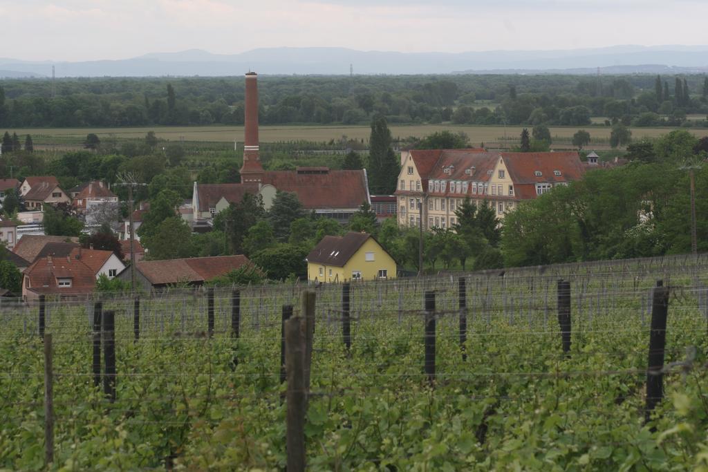 Gite Duplex Du Vignoble Alsace Rouffach Eksteriør bilde